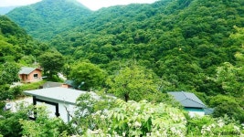 지리산 천년송 관광 정보와 주변 관광 명소 및 근처 맛집 여행 정보