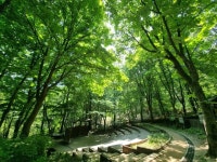 [서울둘레길 9코스] 대모·구룡산코스 관광 정보와 주변 관광 명소 및 근처 맛집 여행 정보