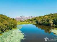 김판쇠전주우족탕 본점 - 주변 여행 및 근처 관광 명소 - 국내 여행 정보와 관광 명소 정보
