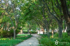 미천공원 관광 정보와 주변 관광 명소 및 근처 맛집 여행 정보