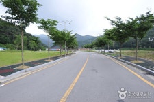 불갑사 관광지 관광 정보와 주변 관광 명소 및 근처 맛집 여행 정보