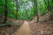 Gwanggyosan Mountain (광교산) - Sightseeing - Korea travel and tourism information