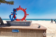 주문진해변 - 주변 여행 및 근처 관광 명소 - 국내 여행 정보와 관광 명소 정보