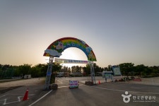 강원그린박람회 - 주변 여행 및 근처 관광 명소 - 국내 여행 정보와 관광 명소 정보