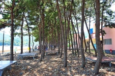 월포해수욕장야영장 레저스포츠 정보와 주변 관광 명소 및 근처 맛집 여행 정보