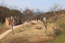 양구꽃섬 - 주변 여행 및 근처 관광 명소 - 국내 여행 정보와 관광 명소 정보