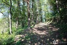 영월 정양산성(왕검성) 관광 정보와 주변 관광 명소 및 근처 맛집 여행 정보