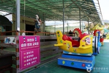 비케이승마장 레저스포츠 정보와 주변 관광 명소 및 근처 맛집 여행 정보