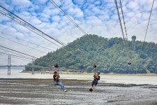 Gangjin Ziptrek (강진 짚트랙) - Leisure - Korea travel and tourism information