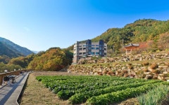 소금강오토캠프장 - 주변 여행 및 근처 관광 명소 - 국내 여행 정보와 관광 명소 정보