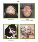 Choi Hyeok Korean Medicine Clinic (최혁한의원) - Sightseeing - Korea travel and tourism information