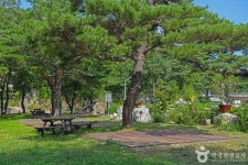 소똥령마을 관광 정보와 주변 관광 명소 및 근처 맛집 여행 정보