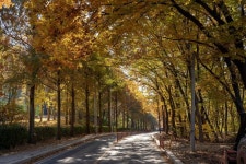 [평화누리길 4코스] 행주나루길 레저스포츠 정보와 주변 관광 명소 및 근처 맛집 여행 정보