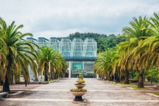 제주국제평화센터 문화 정보와 주변 관광 명소 및 근처 맛집 여행 정보