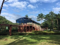 솔향공원 스카이바이크 레저스포츠 정보와 주변 관광 명소 및 근처 맛집 여행 정보