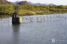 유곡리평화마을캠핑장 - 주변 여행 및 근처 관광 명소 - 국내 여행 정보와 관광 명소 정보
