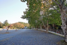 캠프ING 레저스포츠 정보와 주변 관광 명소 및 근처 맛집 여행 정보