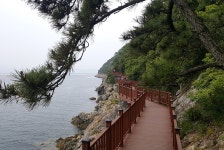 저도비치로드 레저스포츠 정보와 주변 관광 명소 및 근처 맛집 여행 정보