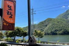 초리넝쿨마을 - 주변 여행 및 근처 관광 명소 - 국내 여행 정보와 관광 명소 정보