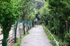 폴링인블루펜션 - 주변 여행 및 근처 관광 명소 - 국내 여행 정보와 관광 명소 정보