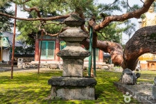 단호사(충주) 관광 정보와 주변 관광 명소 및 근처 맛집 여행 정보