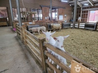 상하농원 관광 정보와 주변 관광 명소 및 근처 맛집 여행 정보