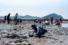 선감어촌체험마을 관광 정보와 주변 관광 명소 및 근처 맛집 여행 정보