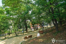 รูปภาพผลการค้นหา Naver 6