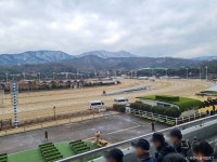 렛츠런파크 서울 레저스포츠 정보와 주변 관광 명소 및 근처 맛집 여행 정보