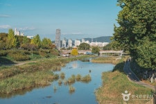 갑천 관광 정보와 주변 관광 명소 및 근처 맛집 여행 정보