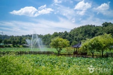 뒷미지수변공원 관광 정보와 주변 관광 명소 및 근처 맛집 여행 정보