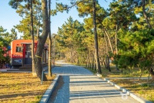 무안낙지공원 관광 정보와 주변 관광 명소 및 근처 맛집 여행 정보