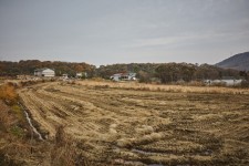 음봉 꾀꼴성마을 관광 정보와 주변 관광 명소 및 근처 맛집 여행 정보