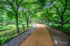 Gwanggyosan Mountain (광교산) - Sightseeing - Korea travel and tourism information