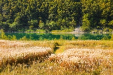 영월국민체육센터 - 주변 여행 및 근처 관광 명소 - 국내 여행 정보와 관광 명소 정보