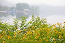 하중도수변생태공원 관광 정보와 주변 관광 명소 및 근처 맛집 여행 정보