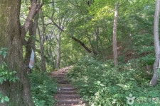 광교산체육공원 - 주변 여행 및 근처 관광 명소 - 국내 여행 정보와 관광 명소 정보