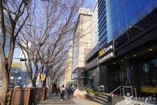 렉스관광호텔 숙박 정보와 주변 관광 명소 및 근처 맛집 여행 정보