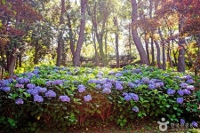 구덕문화공원 관광 정보와 주변 관광 명소 및 근처 맛집 여행 정보