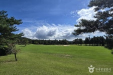 타미우스골프&빌리지 숙박 정보와 주변 관광 명소 및 근처 맛집 여행 정보