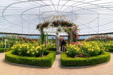 高陽国際花博覧会（고양국제꽃박람회） - 祭り - 韓国旅行・観光情報