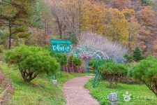 데미샘자연휴양림 관광 정보와 주변 관광 명소 및 근처 맛집 여행 정보