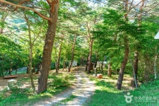 금강소나무생태경영림 관광 정보와 주변 관광 명소 및 근처 맛집 여행 정보