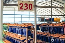 종현농어촌체험휴양마을 관광 정보와 주변 관광 명소 및 근처 맛집 여행 정보