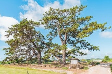 무안낙지공원 - 주변 여행 및 근처 관광 명소 - 국내 여행 정보와 관광 명소 정보