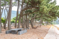 금장해수욕장 관광 정보와 주변 관광 명소 및 근처 맛집 여행 정보