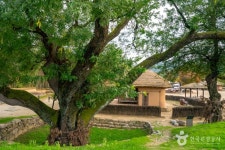 예천 삼강주막 관광 정보와 주변 관광 명소 및 근처 맛집 여행 정보