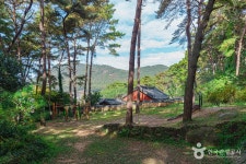 제봉산 마법의 숲 체험원 관광 정보와 주변 관광 명소 및 근처 맛집 여행 정보