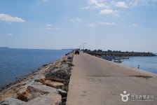 안면도자연휴양림 - 여행정보 |