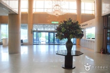 베니키아 춘천베어스 호텔